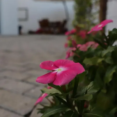 Plátano Prázdninový dům *