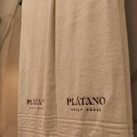 Plátano Prázdninový dům Ribeira Cha